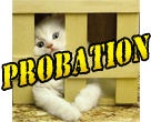 Probation